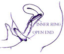 Ůʹ÷